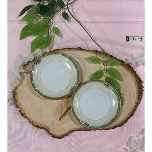 Vintage Noritake Floral Trimmed Saucer Plates Green Border Set of 2 Replacement